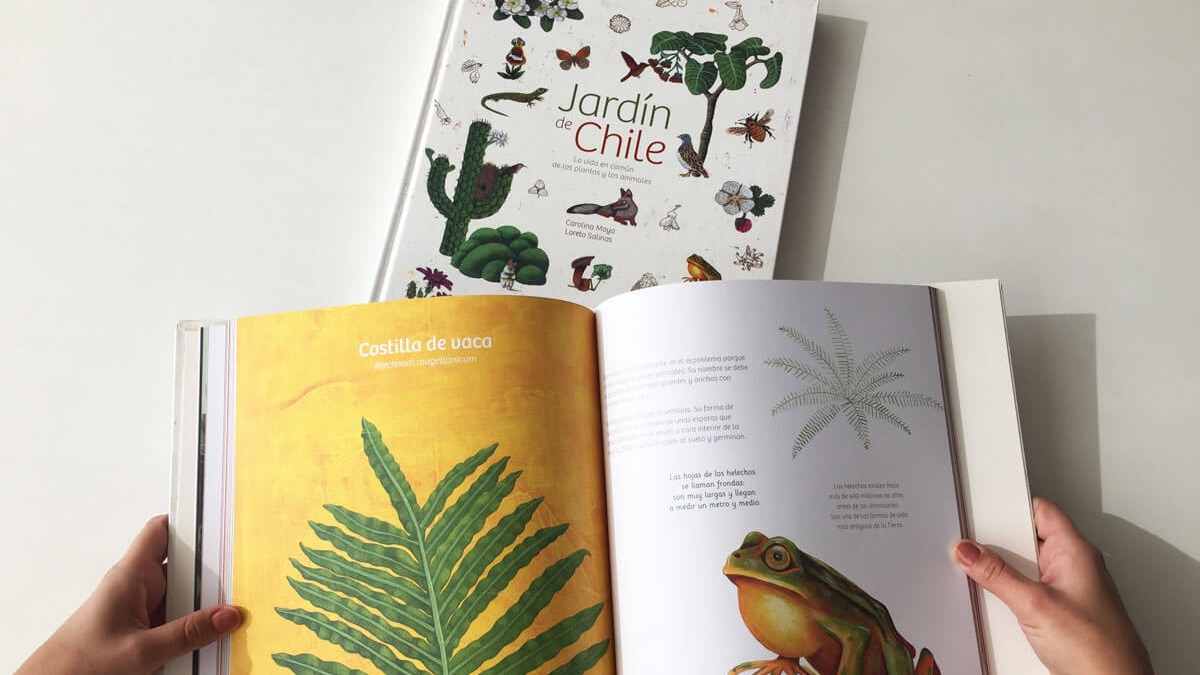 Reseña libro infantil: Donde viven los monstruos - I am Canguro